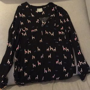 Anthropology llama top